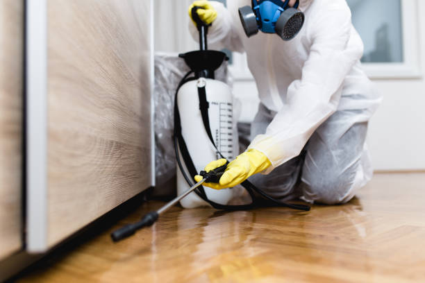 Best Wasp Removal Services  in Hawkinsville, GA