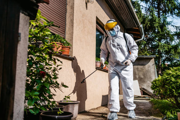Insect Control in Hawkinsville, GA