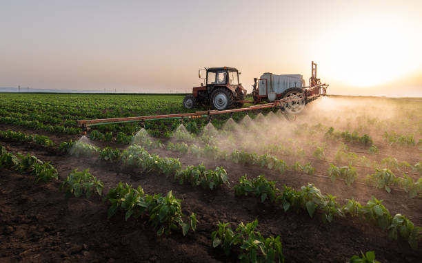 Best Pest Control Treatment  in Hawkinsville, GA