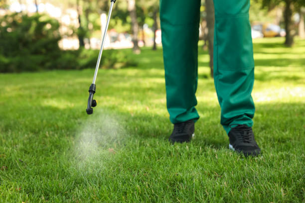 Best Rat Extermination Near Me  in Hawkinsville, GA