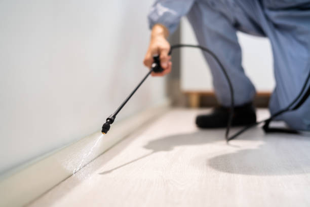 Best Commercial Pest Control Services  in Hawkinsville, GA