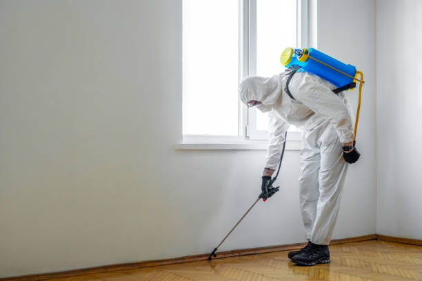Best Emergency Pest Control  in Hawkinsville, GA