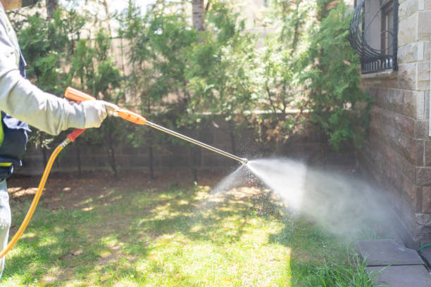 Best Insect Control  in Hawkinsville, GA