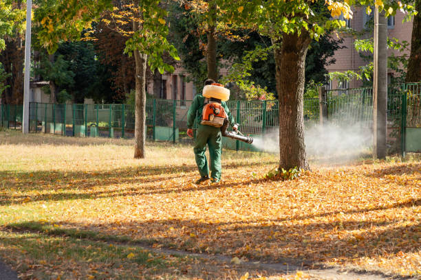 Best Pest Prevention Services  in Hawkinsville, GA
