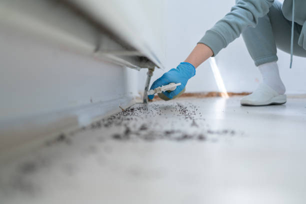 Hawkinsville, GA Pest Control Company